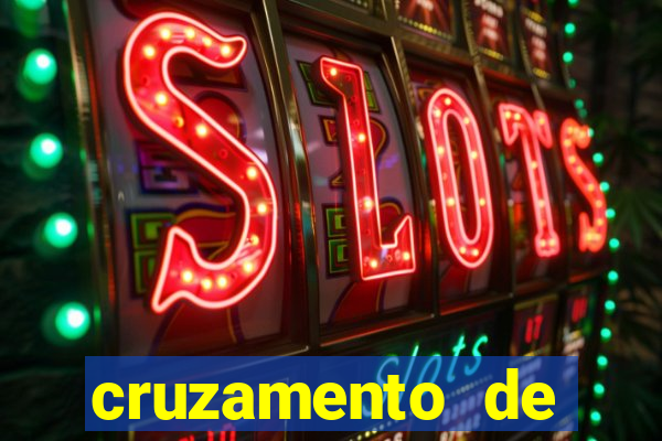 cruzamento de cavalo com mula